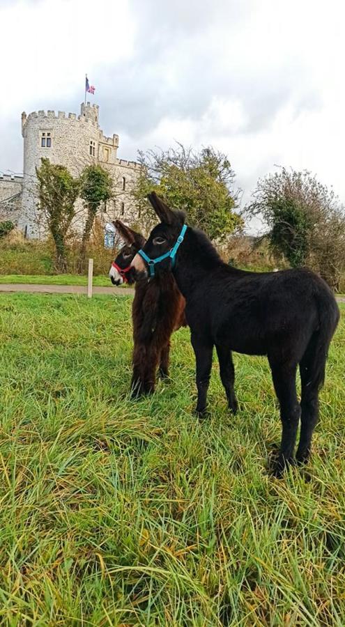 Les Anes Du Chateau D Hardelot, Pour 2 A 5 Pers Condette Exterior photo